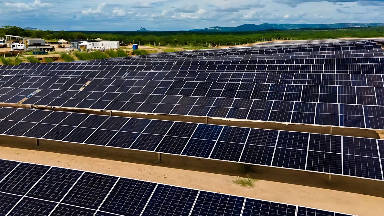 Iniciativa sustentável do parque solar Neoenergia Luzia reaproveita materiais e reforça compromisso com a economia circular. Fonte Neoenergia