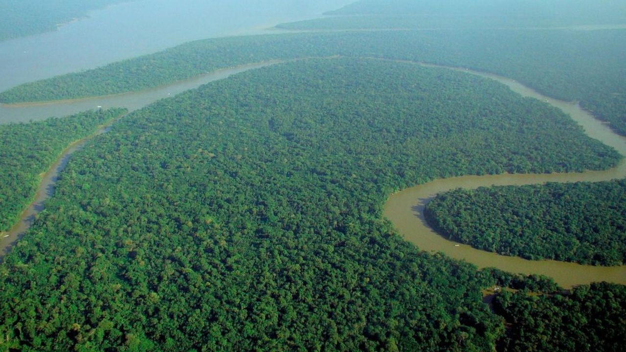A Bacia Amazônica é a maior bacia hidrográfica do planeta e influencia o clima de um continente. Entenda sua biodiversidade, importância e as ameaças que ela enfrenta.