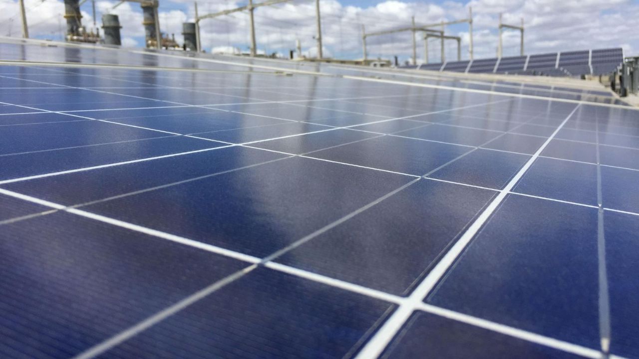 Petrobras, BNDES e Finep lançam edital para fundo de energia renovável e startups de baixo carbono