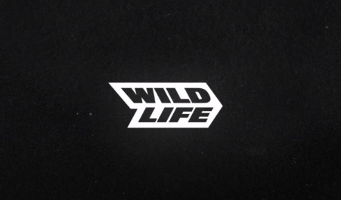 Do Brasil para as telas de milhões de jogadores globais, a Wildlife Studios revoluciona o mercado mobile com games criativos e premiados, mostrando que o talento brasileiro também domina o universo digital do entretenimento interativo.