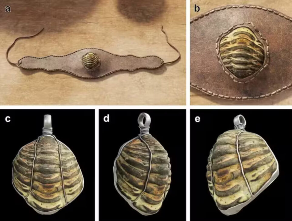 Simulações de computador do exemplar de trilobita achado montado para uso como ornamento pessoal