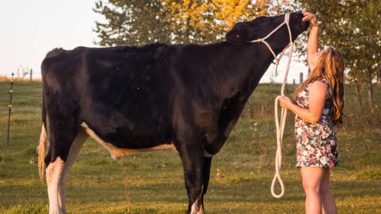 Fonte: Guinness World Records