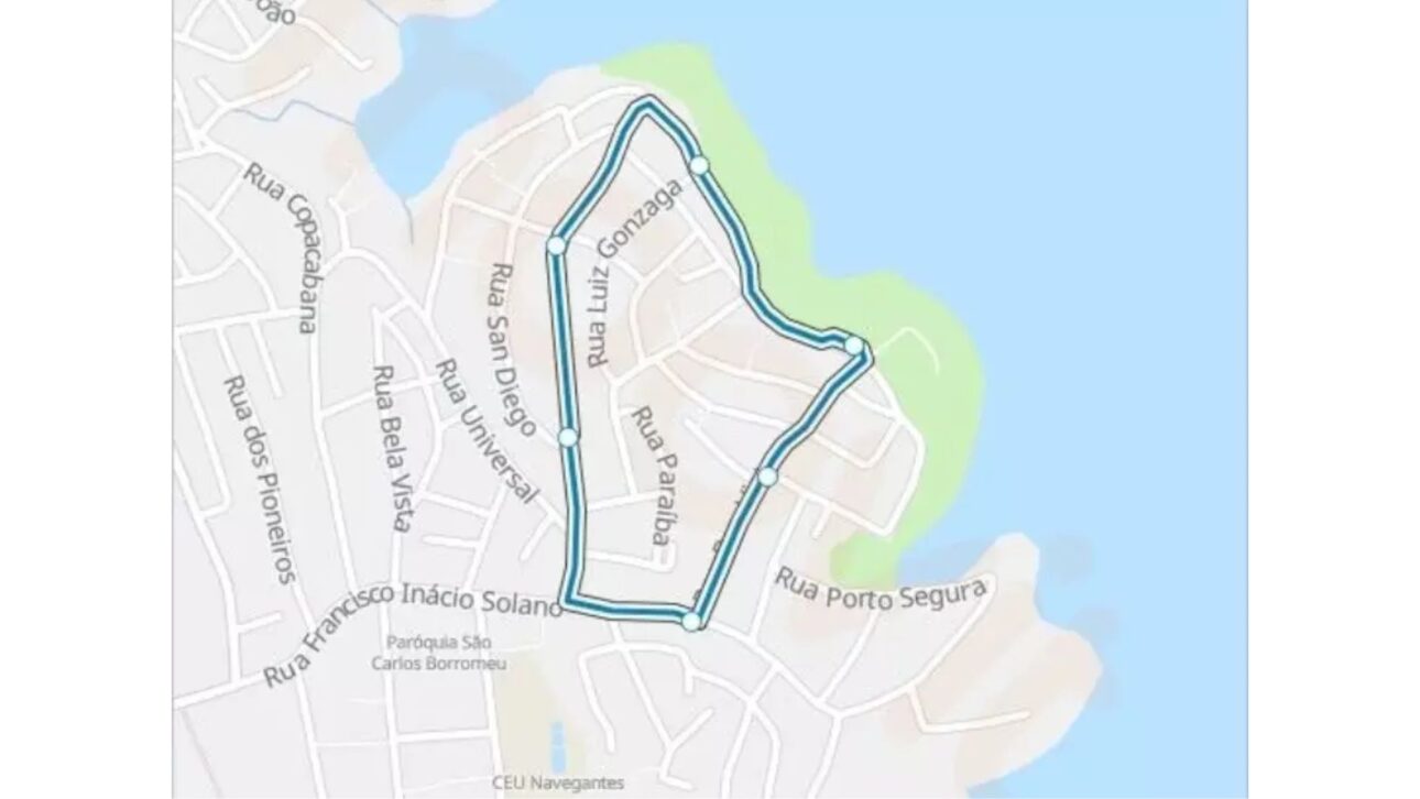 Descubra a menor rota de ônibus de SP, gratuita, elétrica e surpreendente, conectando moradores e mudando o cotidiano da zona sul da cidade.