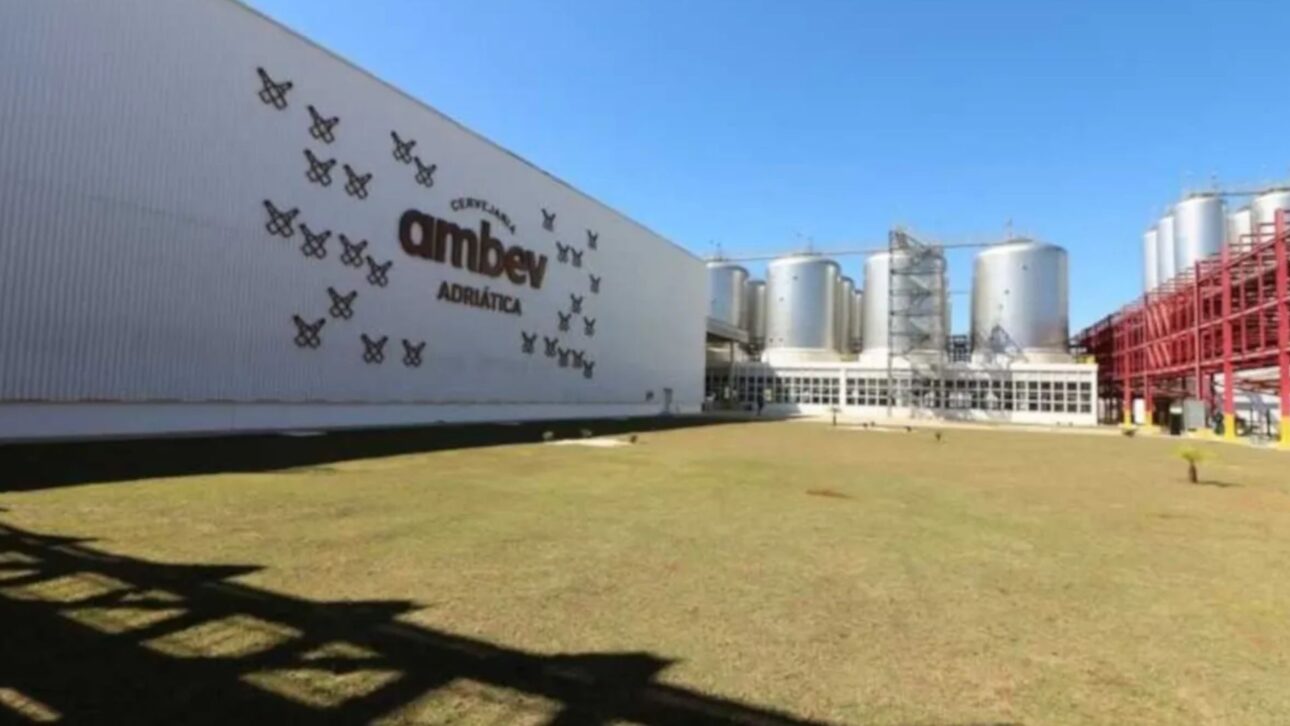 Acompanhe como a Ambev enfrenta concorrentes, inovação e novos hábitos de consumo para manter a liderança no mercado de cervejas do Brasil.