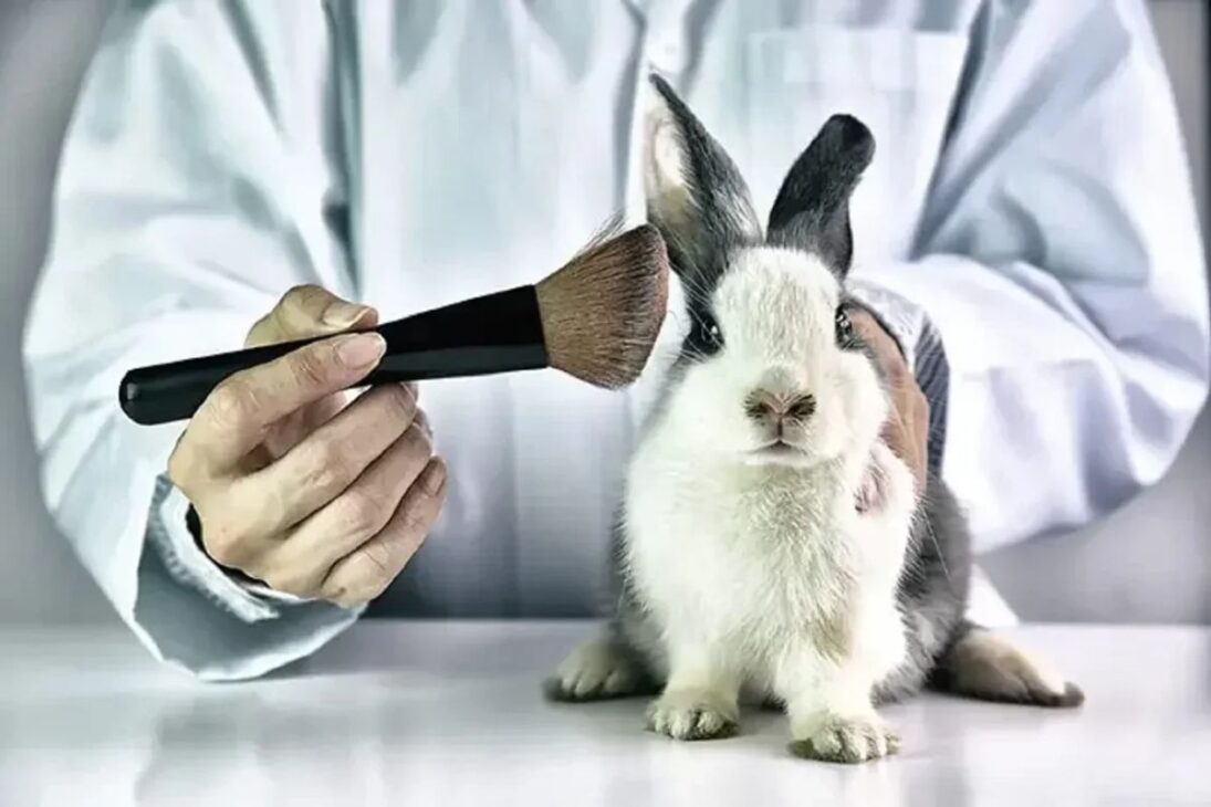 fim dos testes de cosméticos em animais no Brasil