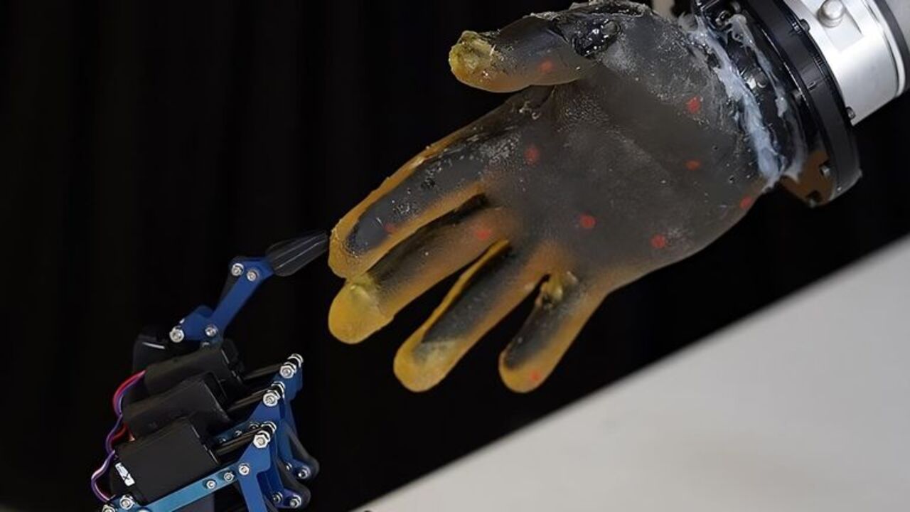 Nova pele robótica, Pele