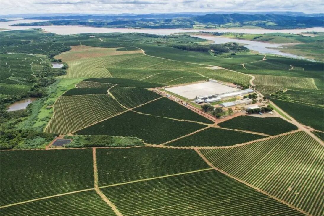 Com 18 mil hectares e 3.900 trabalhadores, ex-cobrador vira o 'rei do café' no Brasil