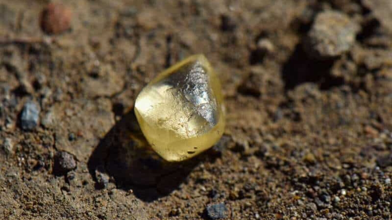 Diamantes, EUA, Parque