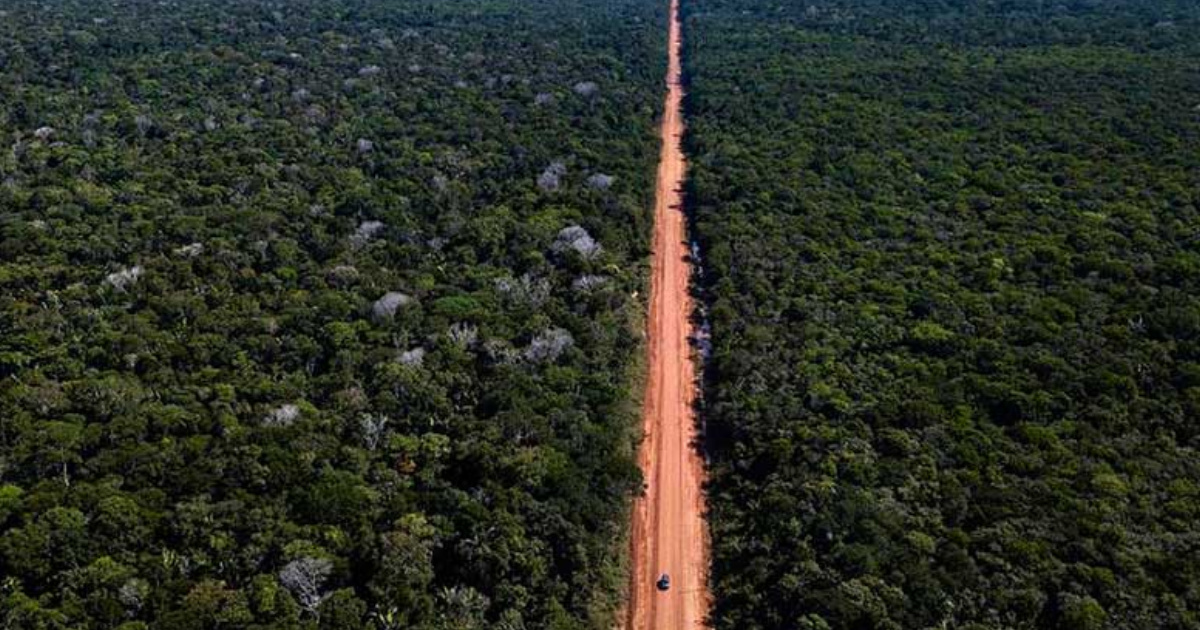 Trecho de 52 km na BR-319 divide opiniões entre avanço econômico e risco de 8 bilhões de toneladas de CO₂ na Amazônia.  (Foto: Dnit/Divulgação)