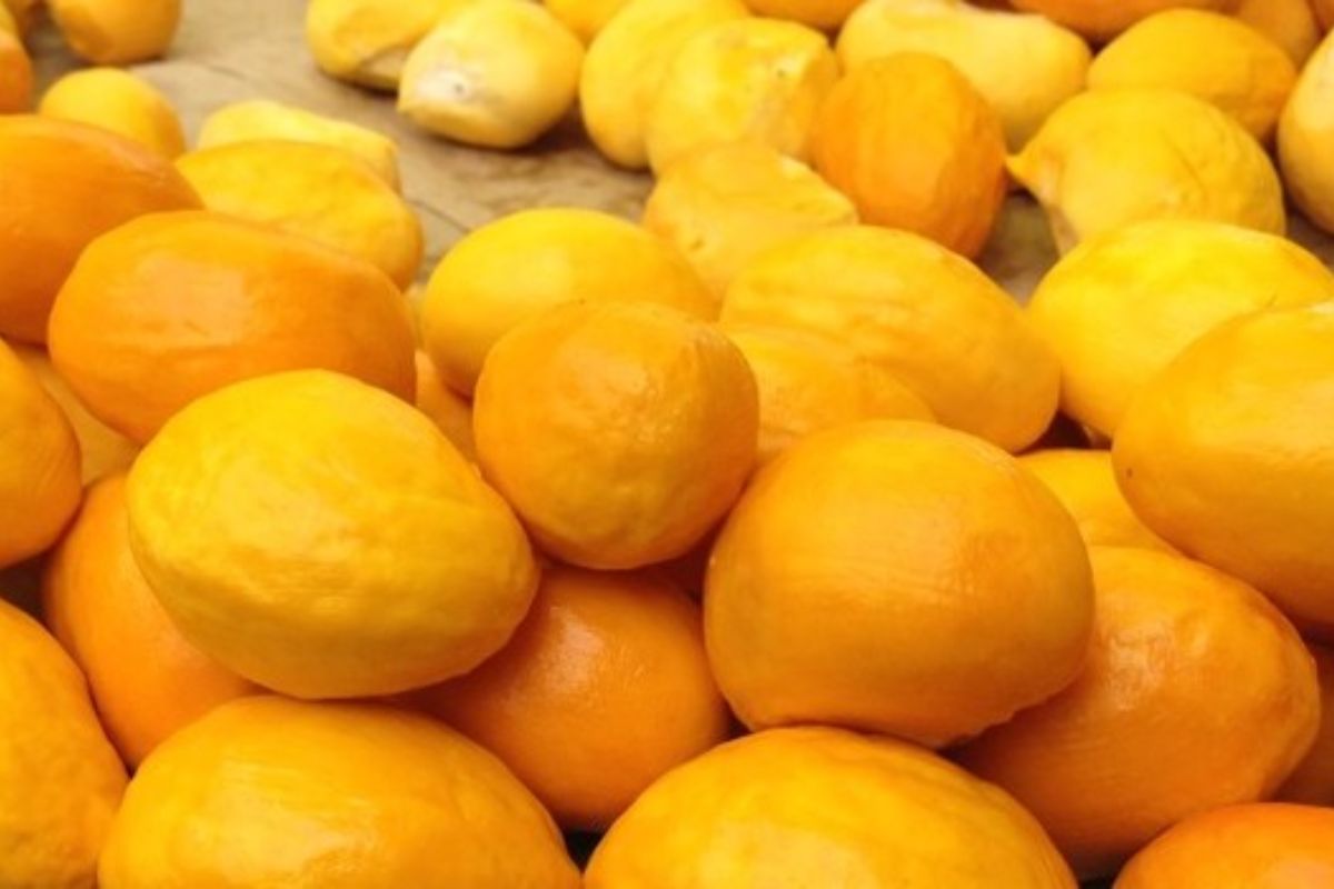 O Agronegócio em Minas Gerais mostra força com produtos como pão de queijo, queijos veganos, pequi, baru e exportações