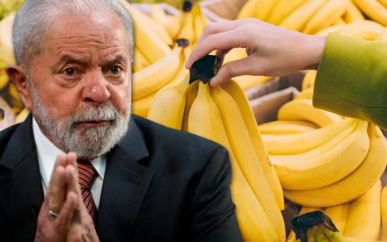 Banana importada do Equador após decisão de Lula deixa Santa Catarina em alerta com possível queda brusca nos preços, além de riscos sanitários