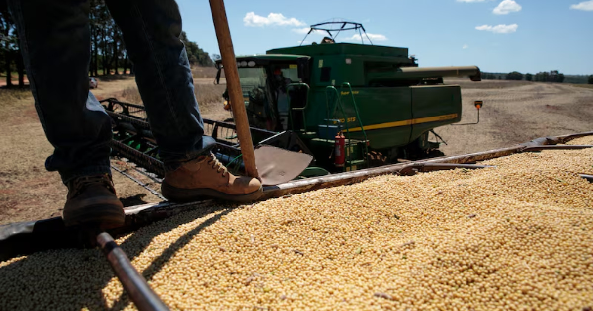 China evita soja dos EUA, aposta no Brasil e pressiona agricultores americanos em meio à guerra comercial e tarifas elevadas. (Imagem: Bloomberg/Patricia Monteiro)