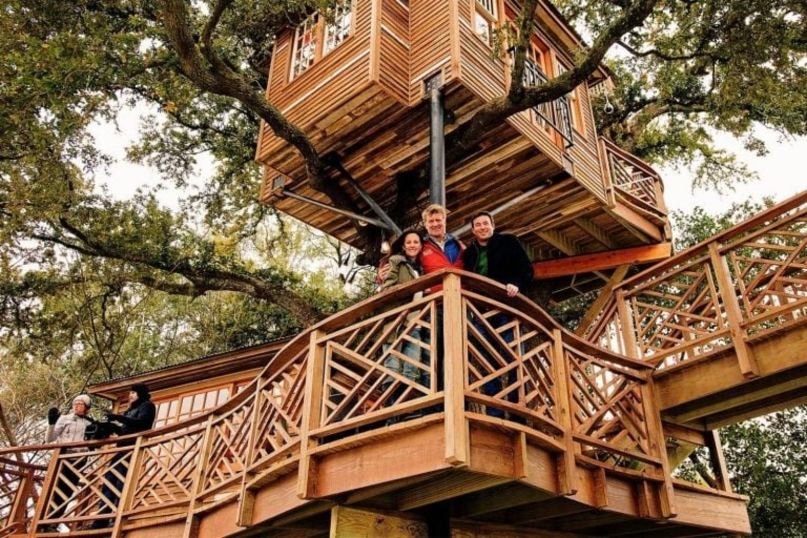 Casa na árvore, Casa, Bilionário, Todd Graves