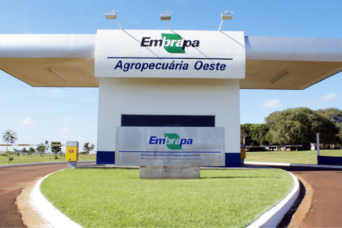 A Embrapa Agropecuária Oeste promove, em 23 de outubro de 2025, o encerramento do 10º Ciclo de Seminários Agrícolas CanaMS 2025, com o tema “Preparo do Solo e Plantio”