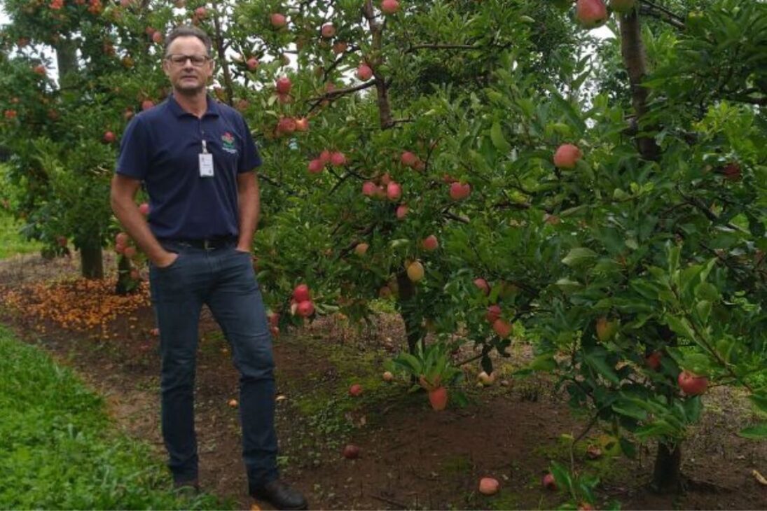 Pesquisador em melhoramento genético de macieira da Estação Experimental da Epagri em Caçador, Marcus Vinicius Kvitschal


