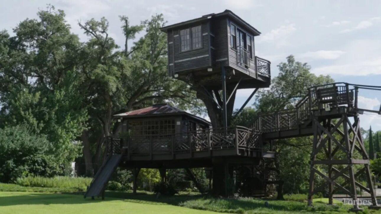 Casa na árvore mais luxuosa do mundo tem três andares, ponte de 20 metros e foi construída sobre um carvalho de 30 metros.