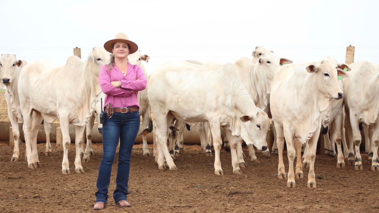 A “dama do agro” revelou sua trajetória no agronegócio ao transformar 35 bois em uma boiada. Saiba como ela fez isso, onde e por que, com estratégia e visão.