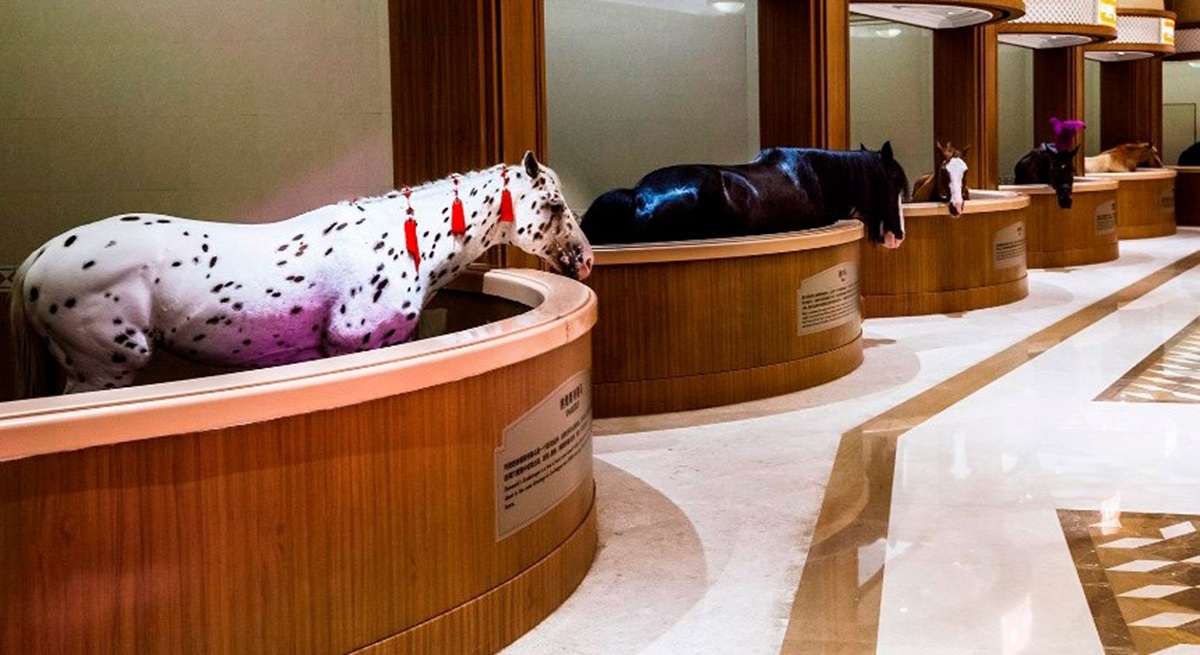 O estábulo mais luxuoso do mundo tem 260 mil m², teto de ouro e 300 cavalos de 47 raças distintas.