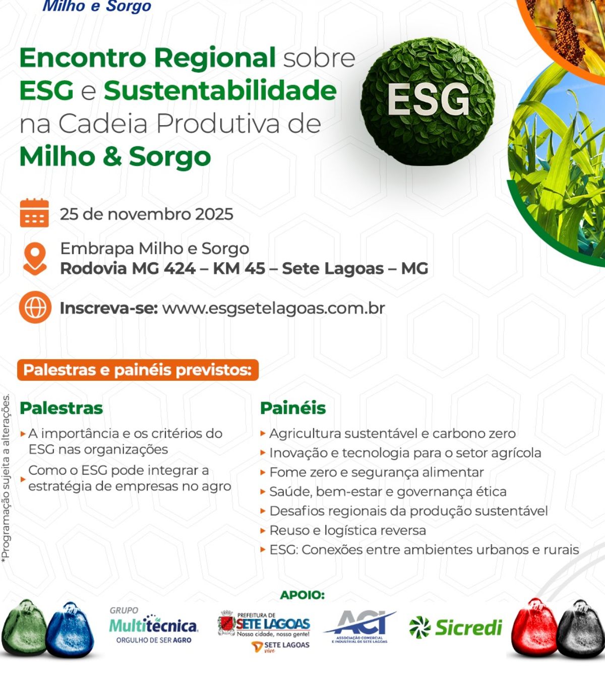 A produção de milho e sorgo tem se tornado referência no avanço das práticas de sustentabilidade e responsabilidade corporativa no agronegócio brasileiro