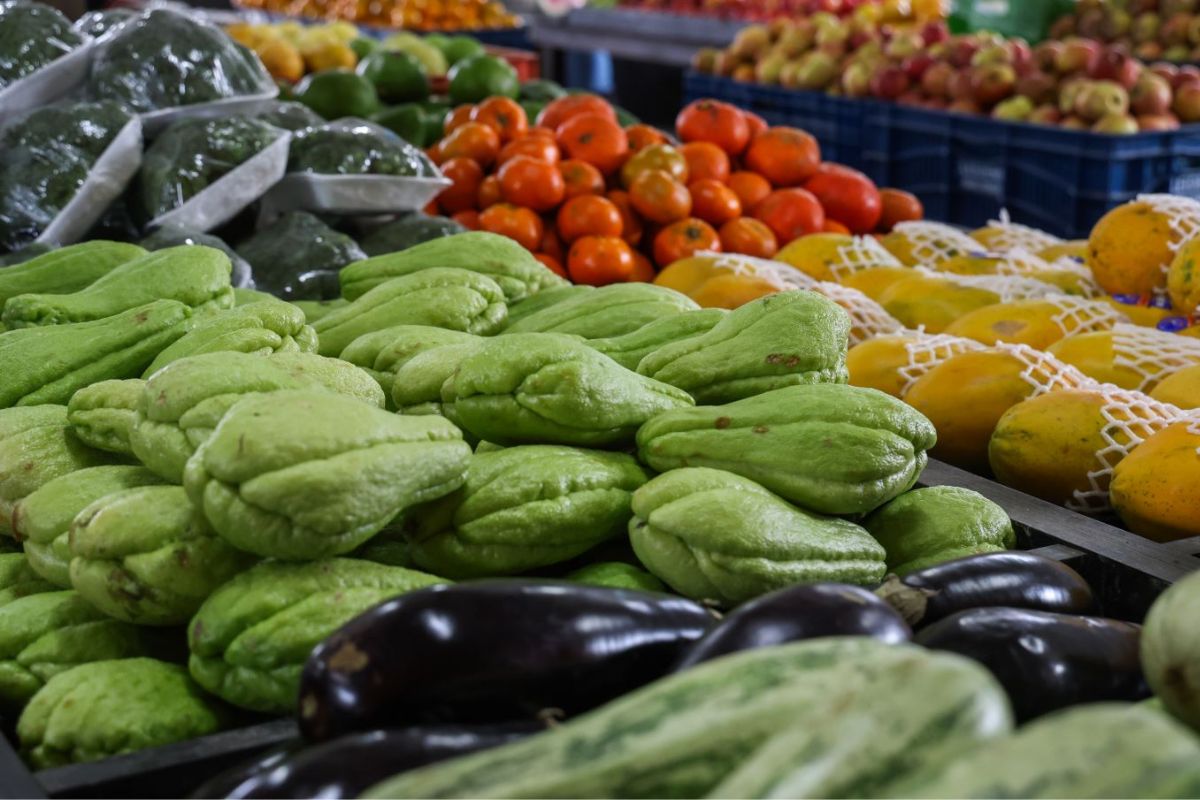 A segurança alimentar em Santa Catarina alcançou um marco histórico e consolidou o estado como referência nacional no acesso à alimentação de qualidade