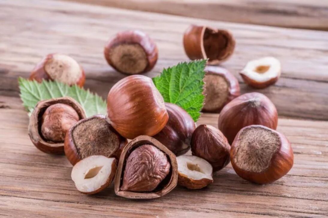 Nutella combina avelãs selecionadas, cacau africano e óleo de palma refinado em uma receita controlada globalmente, unindo tradição, tecnologia e qualidade.

