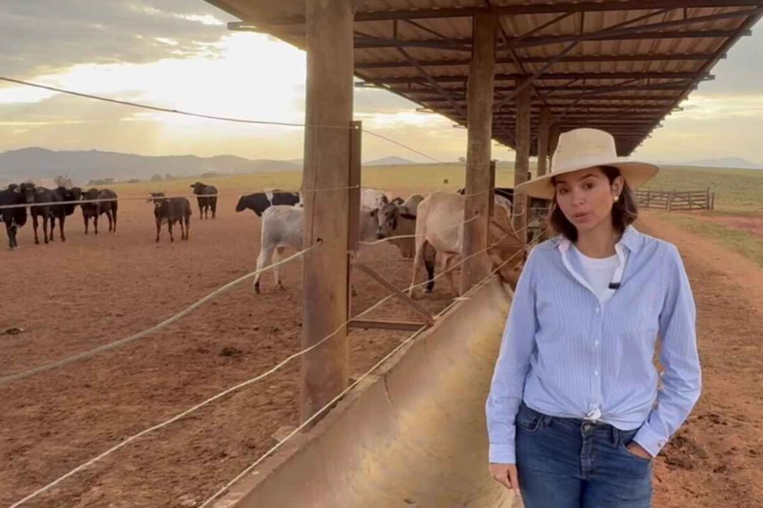 Dentro da fazenda mais rentável do Brasil, cada boi engorda em ciclos eficientes sobre solo bem cuidado, com gestão rigorosa que transforma produção em lucro previsível.