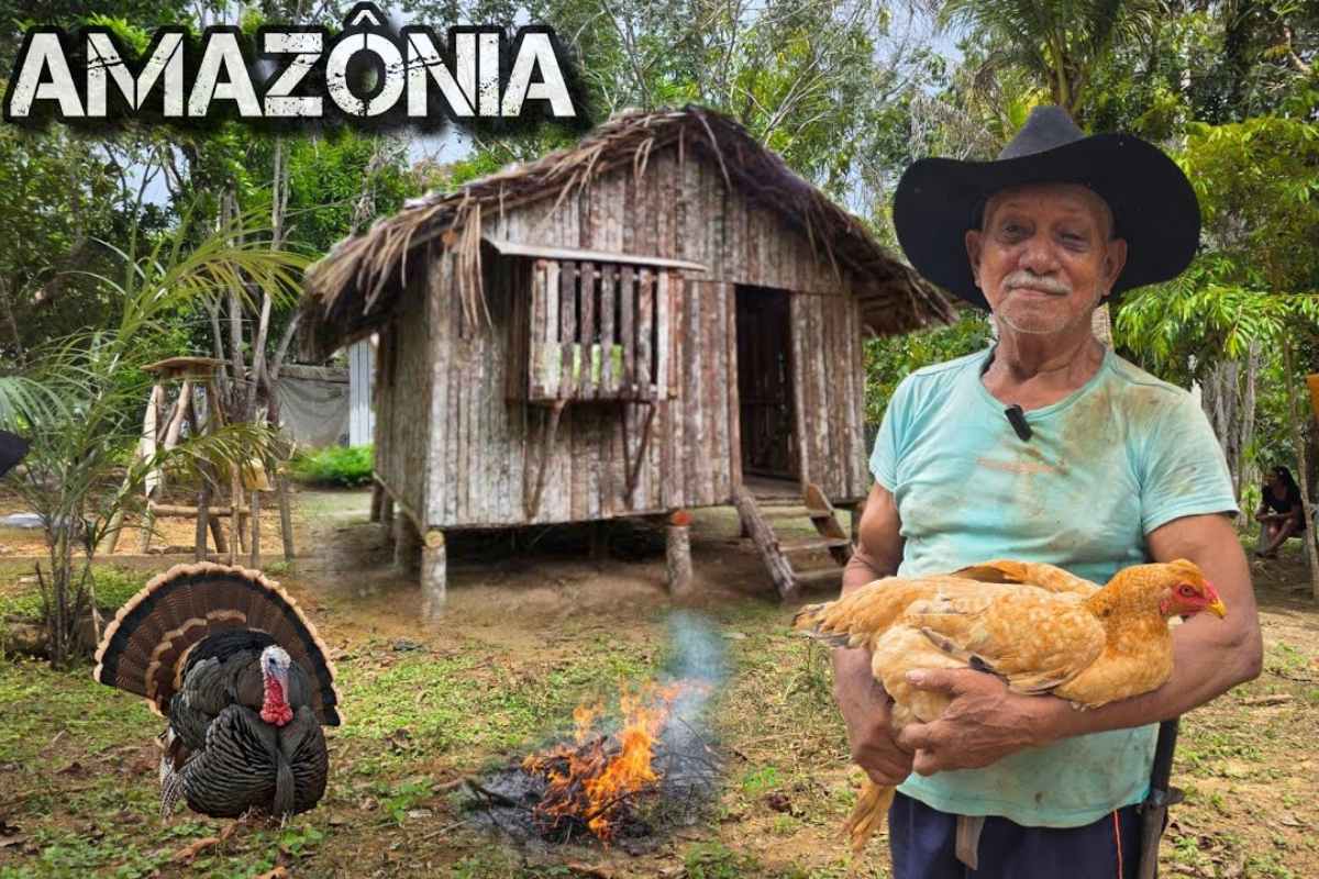 História real de um ribeirinho isolado na selva amazônica que vive da roça, da água do poço e da criação de galinha, em uma rotina simples, dura e profundamente ligada à floresta.