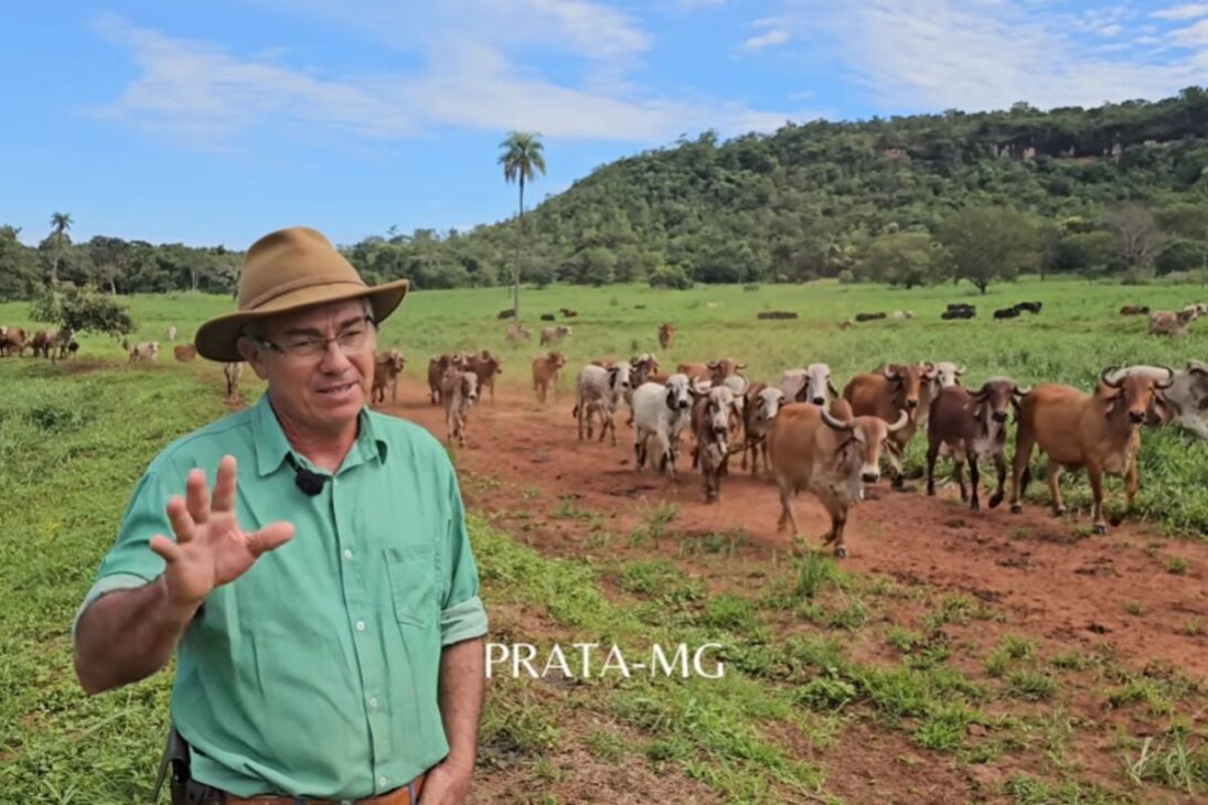 Reportagem mostra a rotina no curral com Gir Leiteiro, genética forte e vida na roça, revelando a lida real no campo e o impacto dessa pecuária leiteira.