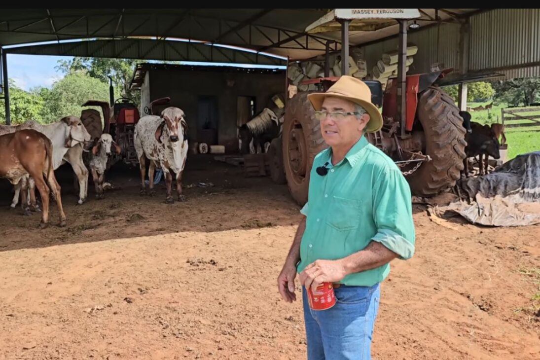 Reportagem mostra a rotina no curral com Gir Leiteiro, genética forte e vida na roça, revelando a lida real no campo e o impacto dessa pecuária leiteira.