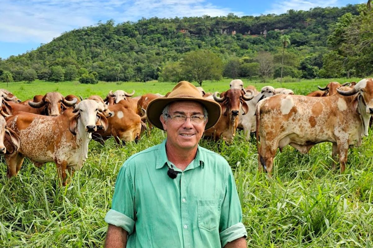 Reportagem mostra a rotina no curral com Gir Leiteiro, genética forte e vida na roça, revelando a lida real no campo e o impacto dessa pecuária leiteira.