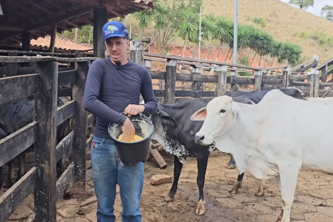 Na roça de Juninho, água, galinha, vaca e tanque mostram como começar do zero e viver do que a pequena fazenda produz.