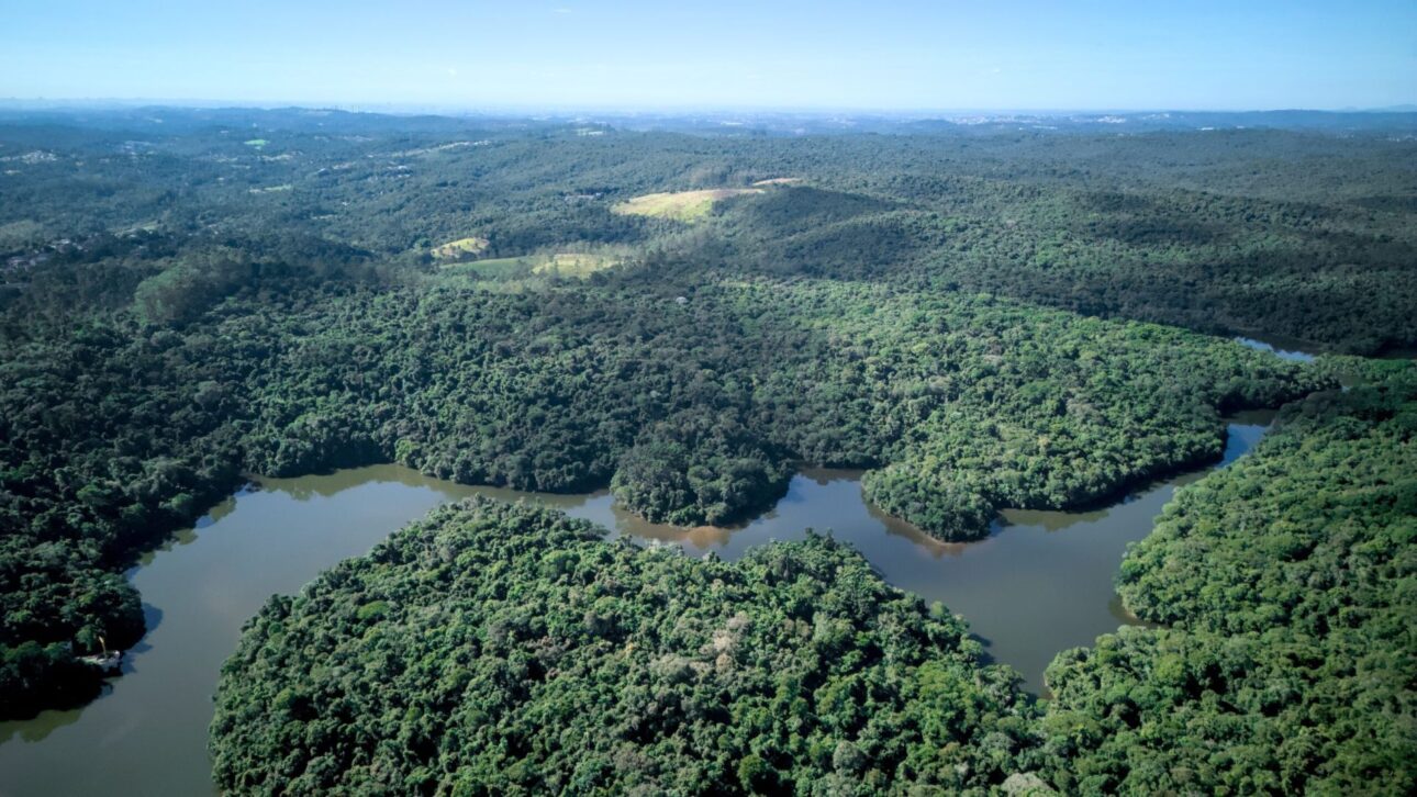 Parque Estadual do Morro Grande em São Paulo protegerá 10.870 hectares de Mata Atlântica e nascentes que abastecem 400 mil pessoas.