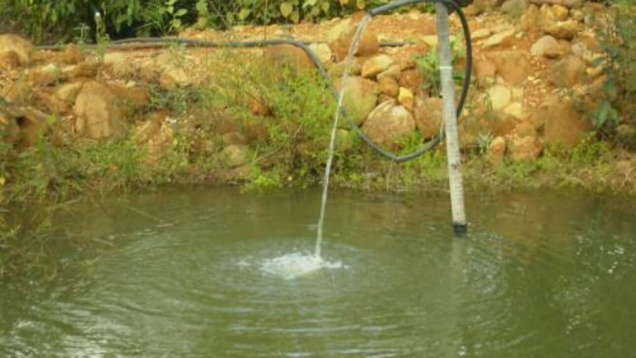 Turismo rural em Palmas (TO): casal de agricultores combina criação de peixes, galinha caipira e pesque-pague para diversificar renda no campo.