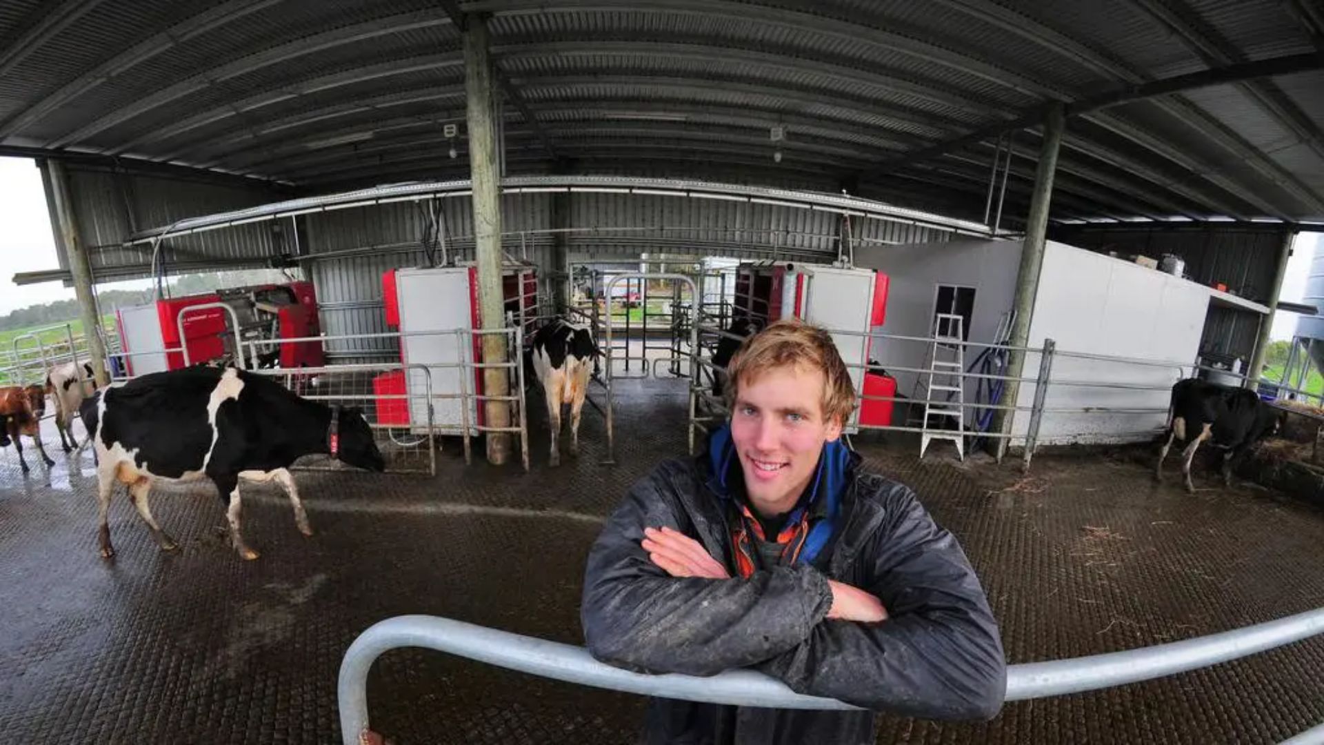 Fazenda na Tasmânia opera 24h com oito robôs e apenas um funcionário, mostrando como a automação transforma a produção de leite no mundo.