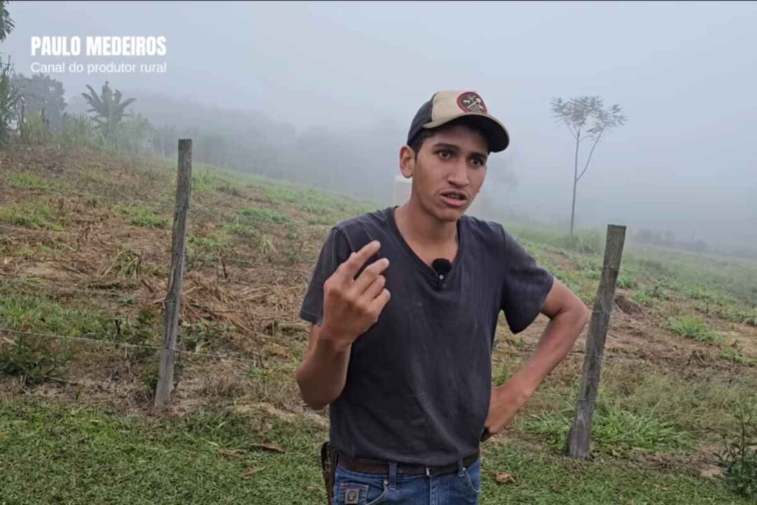 Fenômeno rural, Pedro Vaqueiro mostra como vacas bem cuidadas e produção de leite organizada mantêm o campo vivo e inspiram quem pensa em ficar no interior.