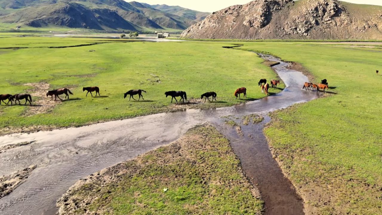 No coração da Ásia, um povo vive uma vida isolada há séculos com mais cavalos do que pessoas, morando em casas móveis e resistindo a temperaturas de -40°C