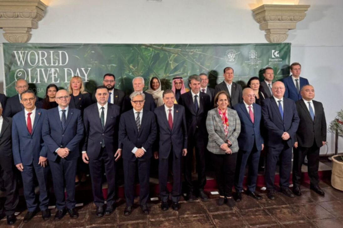 O azeite do Brasil ganhou visibilidade internacional ao ser destacado na celebração do World Olive Day, realizada durante a 122ª reunião do Conselho Oleícola Internacional (COI) em Córdoba, na Espanha