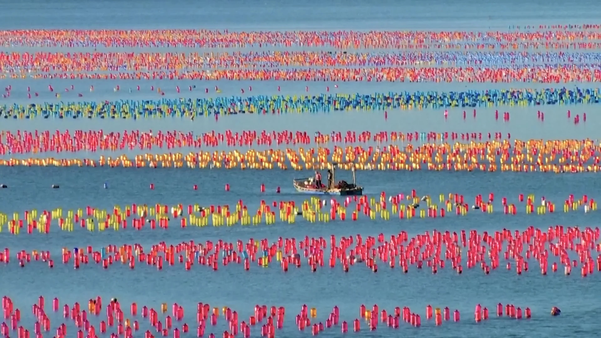 criação industrial de ostras na China funciona como uma linha de montagem oceânica e domina mais de 80% da produção mundial