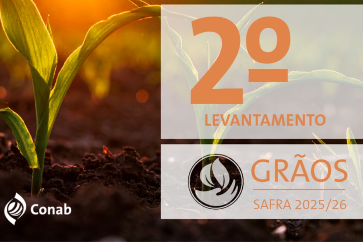 A produção de grãos no Brasil ganha destaque neste início da temporada 2025/26 ao reunir projeções atualizadas da Conab sobre área, volume e desempenho das culturas