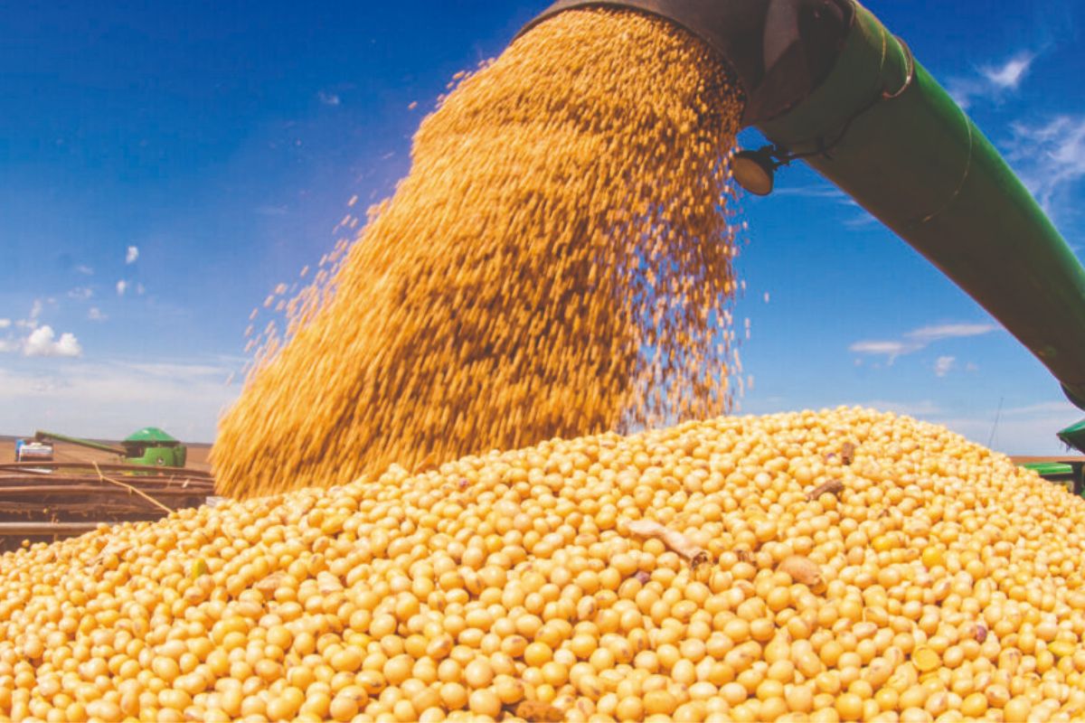 A safra de grãos do Paraná alcançou um marco histórico no ciclo 2024/25 e se consolidou como a maior já registrada no estado, com volume total de 46,8 milhões de toneladas