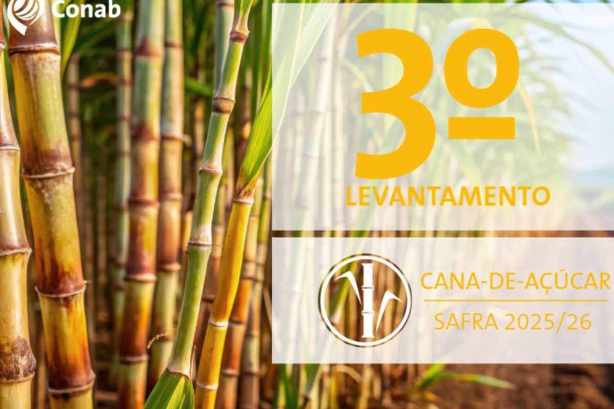 A safra de cana-de-açúcar 2025/26 chega em um momento de forte atenção do setor agroindustrial brasileiro