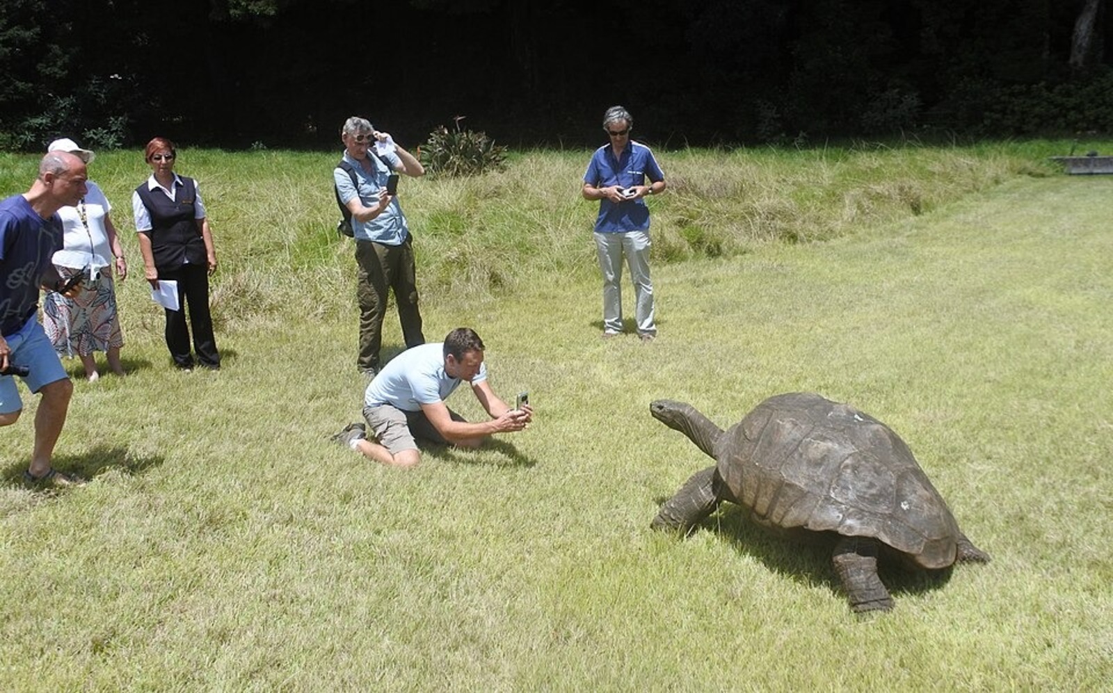 Tartaruga, Jonathan, Recorde