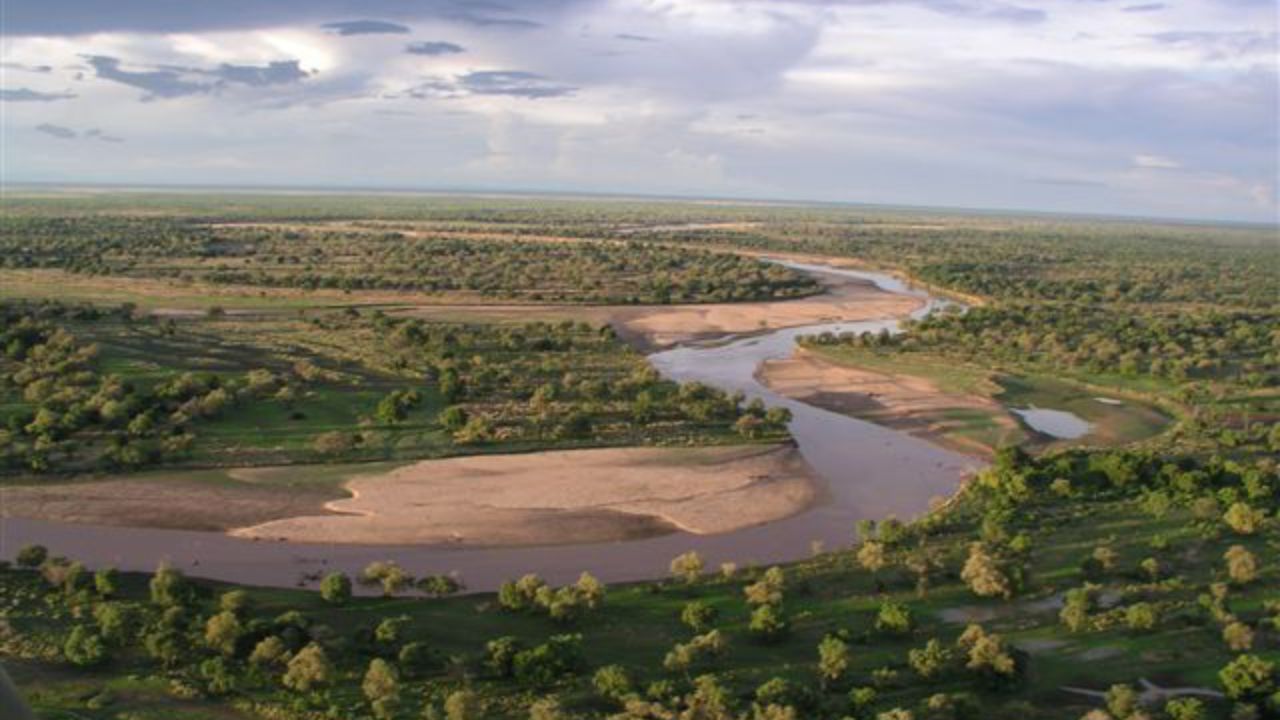 A maior seca em 20 anos transforma o Vale de Luangwa num cenário extremo onde hipopótamos morrem, leões fazem banquetes improváveis, criaturas bizarras