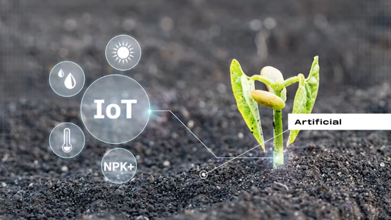 fazenda robótica e fazenda totalmente robótica: agricultura com IA, máquinas autônomas e sensores avançados mudam plantio e gado na China.