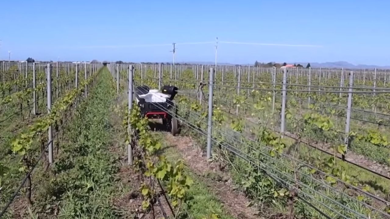 fazenda robótica e fazenda totalmente robótica: agricultura com IA, máquinas autônomas e sensores avançados mudam plantio e gado na China.