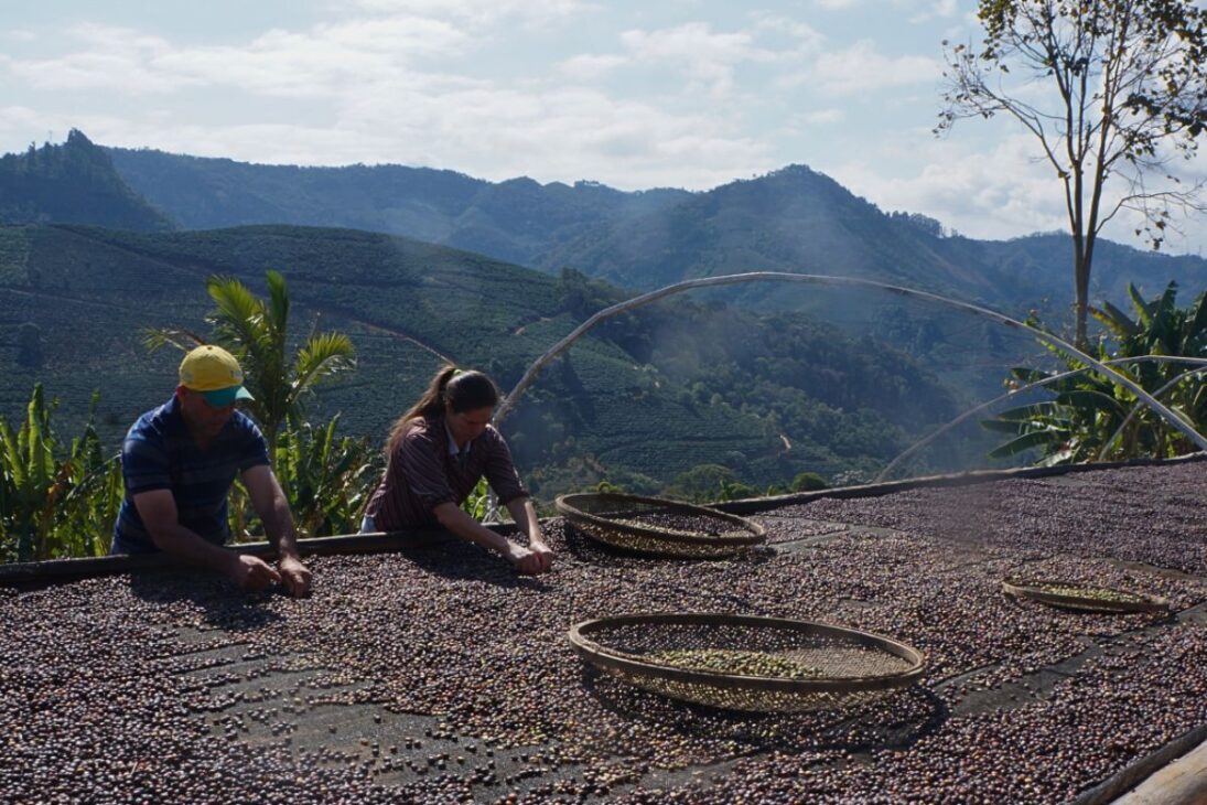 Nescafé solúvel feito de café concentrado e grãos de café vira café solúvel e café instantâneo estável, com produção global e validade de 24 meses.
