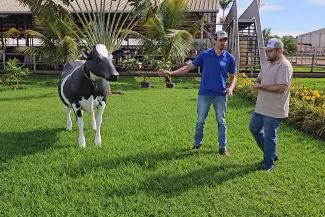 Na granja leiteira Eudes Braga, genética holandesa em sistema compost barn transforma 9 hectares em 16 mil litros e queijo minas artesanal, unindo produtividade e alta rentabilidade no campo.