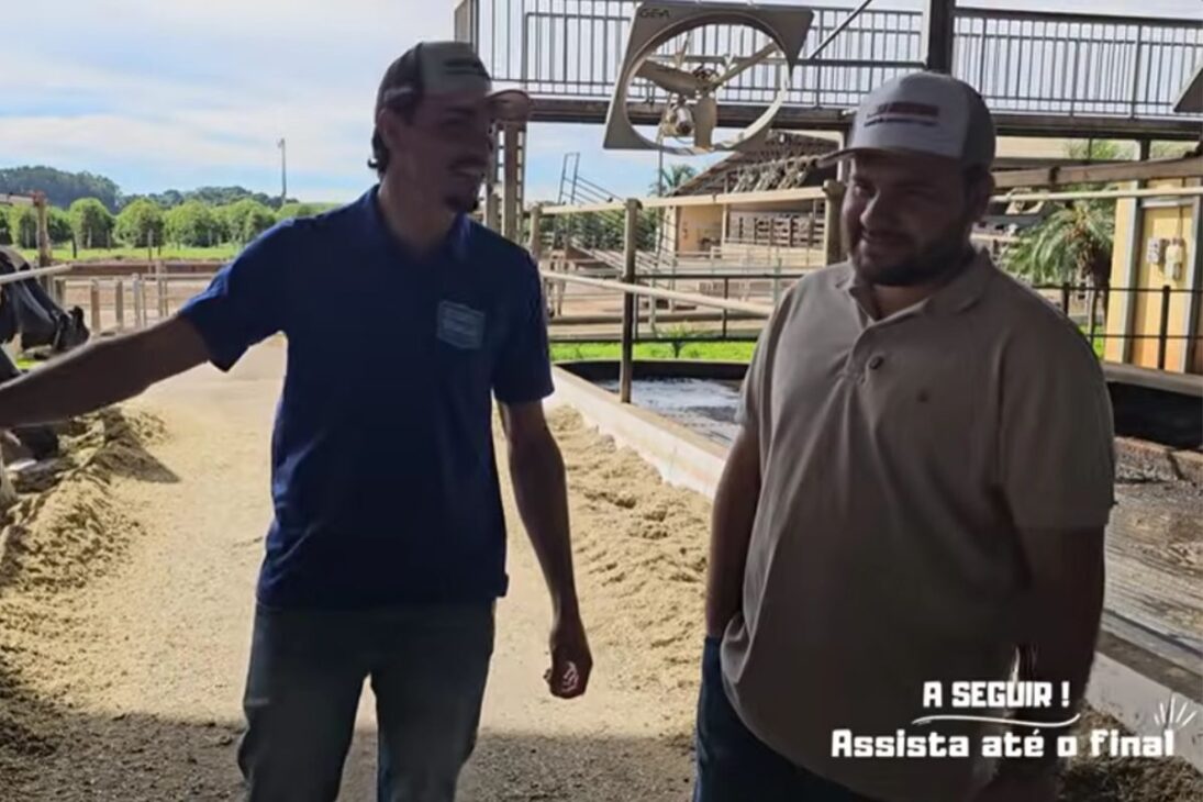 Na granja leiteira Eudes Braga, genética holandesa em sistema compost barn transforma 9 hectares em 16 mil litros e queijo minas artesanal, unindo produtividade e alta rentabilidade no campo.