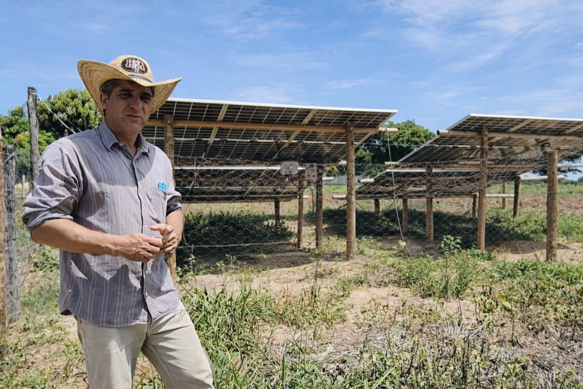 Agricultor monta sistema solar de R$14 mil por conta própria, usa a energia para irrigar 3 hectares, reduzir 90% da conta de luz e até tocar a casa inteira durante o dia