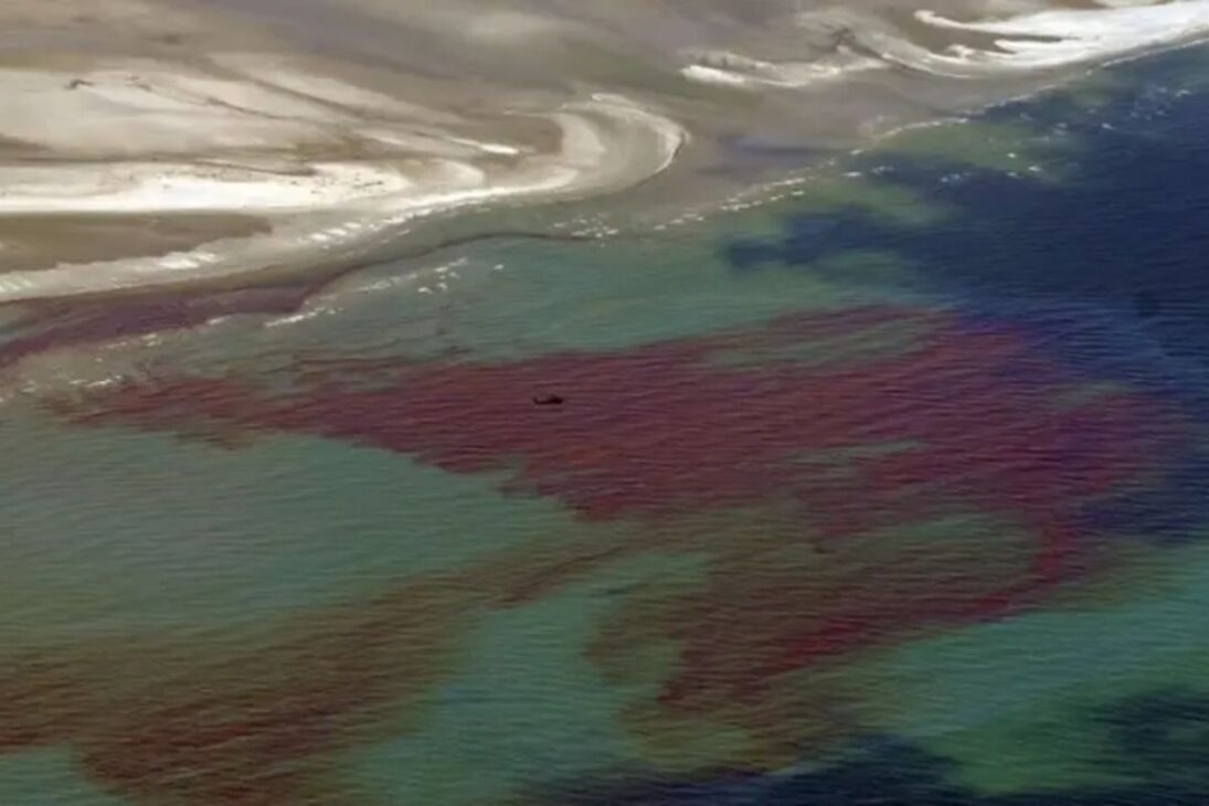 Bactérias que comem petróleo explicam como 75% do óleo da Deepwater Horizon “sumiu” no Golfo do México, salvam o mar, mas criam zonas mortas e aceleram a corrosão.